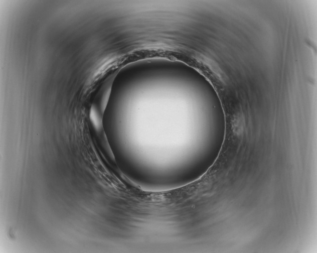 X0000099470968200805091544
