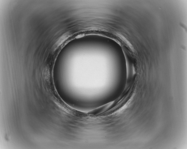 X0000099470969200805091544