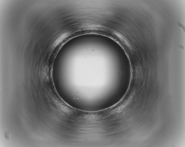 X0000099470970200805091544