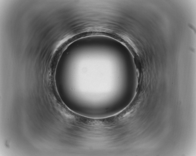 X0000099470971200805091544