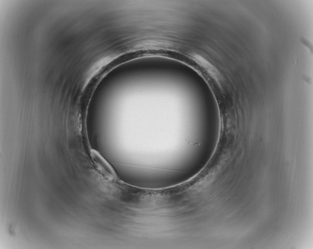 X0000099470973200805091544