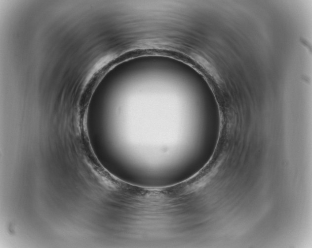 X0000099470974200805091544