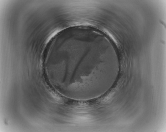 X0000099470975200805091543