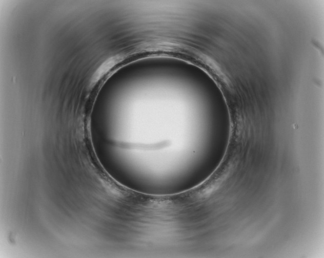 X0000099470978200805091543