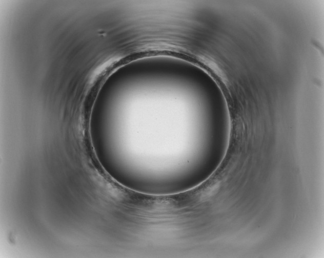 X0000099470979200805091543