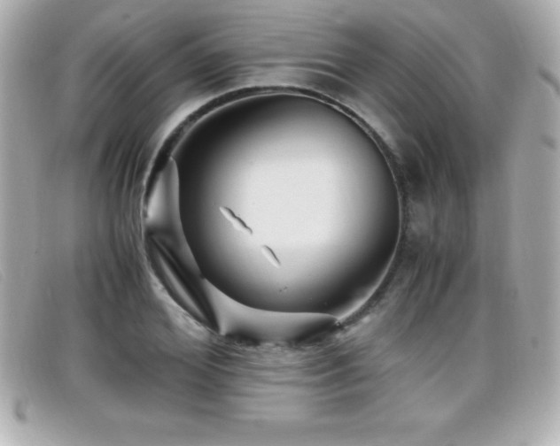 X0000099470980200805091543