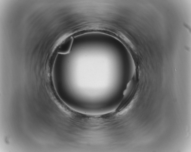 X0000099470981200805091543