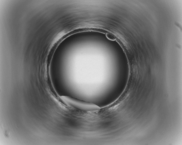 X0000099470982200805091543