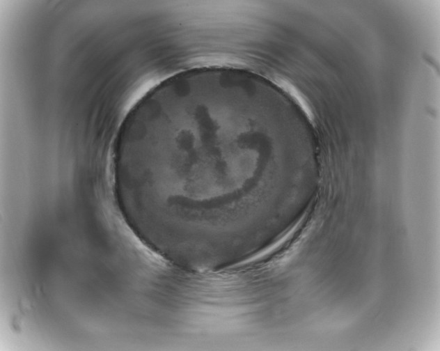 X0000099470983200805091543
