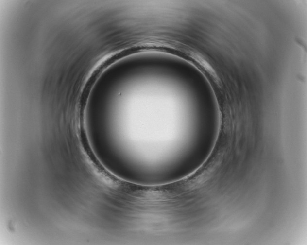 X0000099470984200805091543