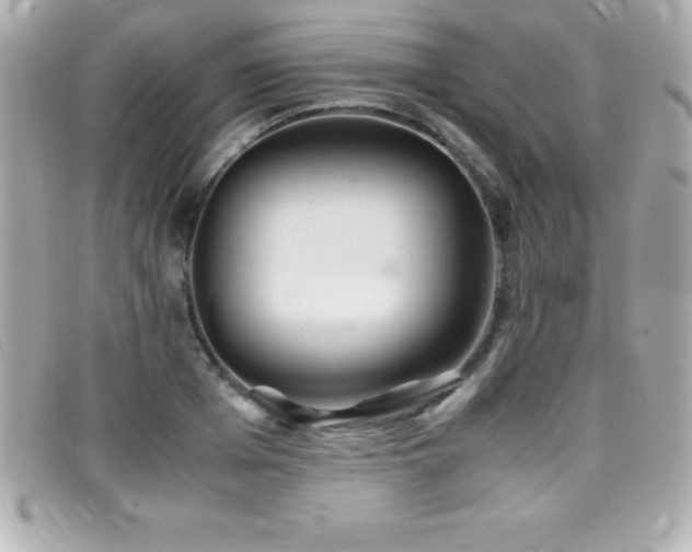 X0000099470985200805091543
