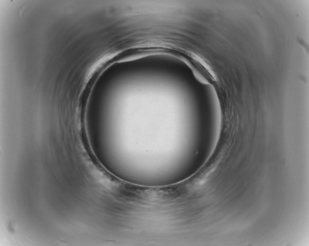 X0000099470987200805091543
