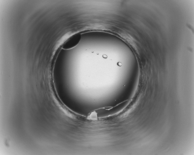 X0000099470989200805091543
