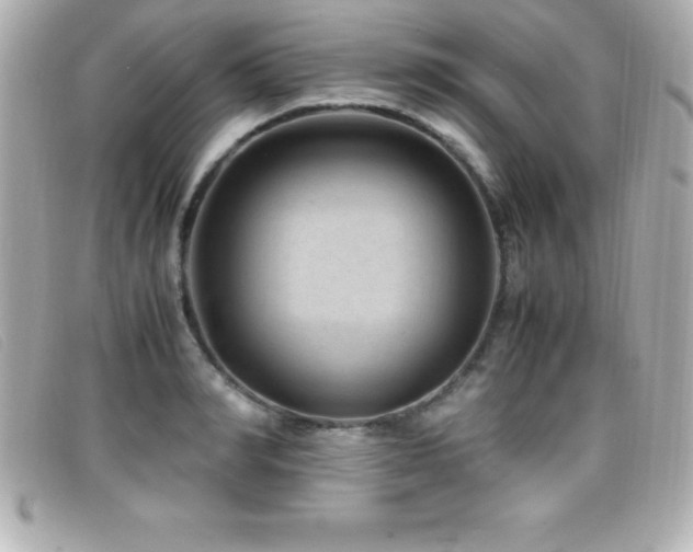 X0000099470990200805091543