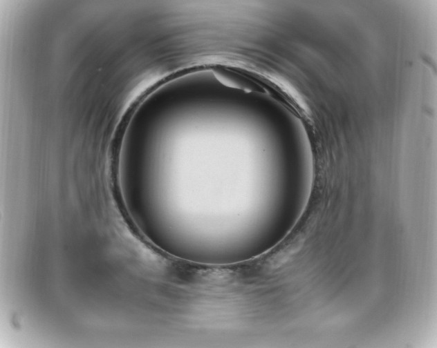X0000099470991200805091543