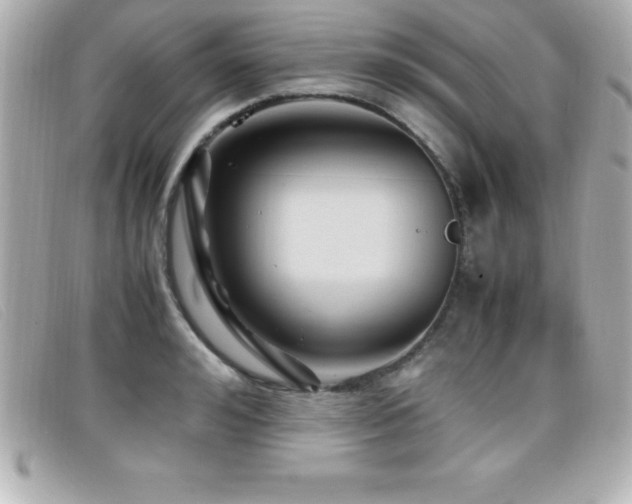 X0000099470992200805091543
