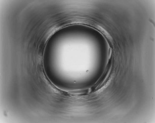 X0000099470993200805091543