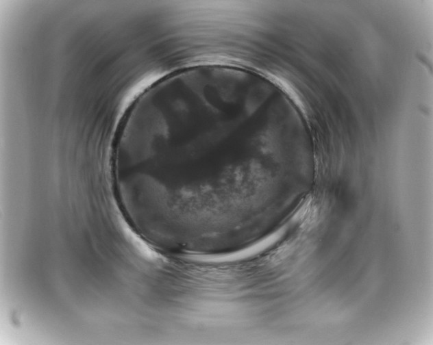 X0000099470995200805091543