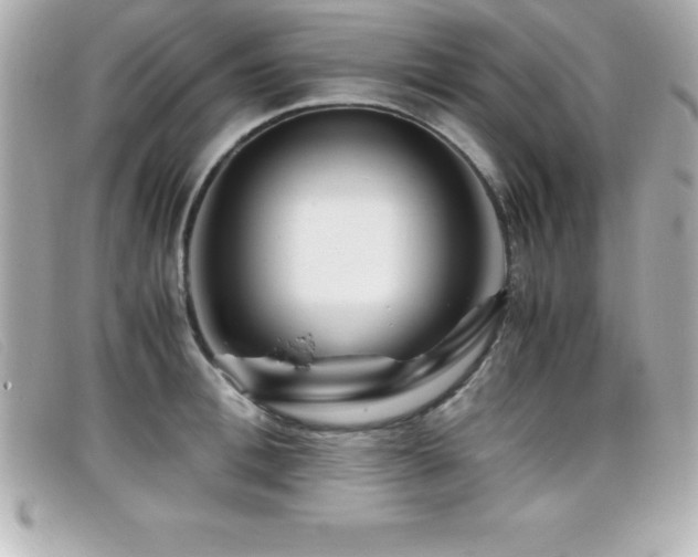 X0000099470996200805091543