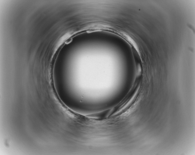 X0000099470997200805091543