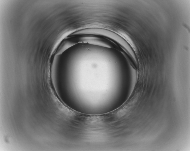 X0000099471000200805091543