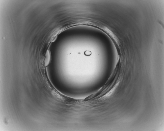 X0000099471001200805091543