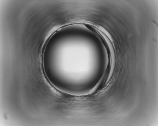 X0000099471005200805091543