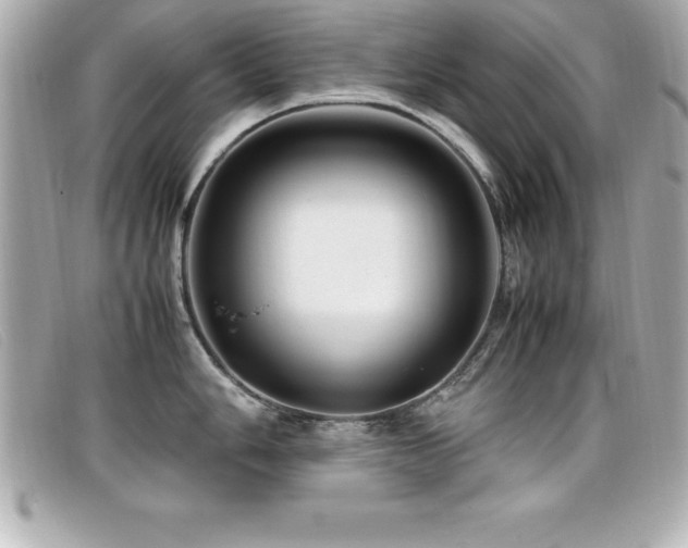 X0000099471006200805091543