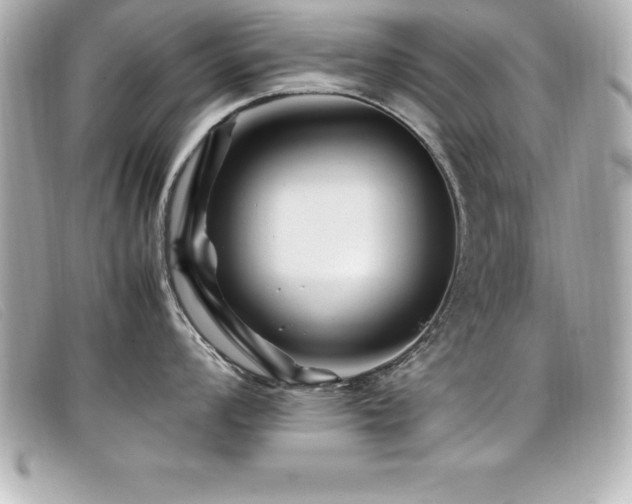X0000099471008200805091543