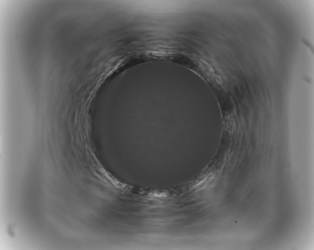 X0000099471009200805091542