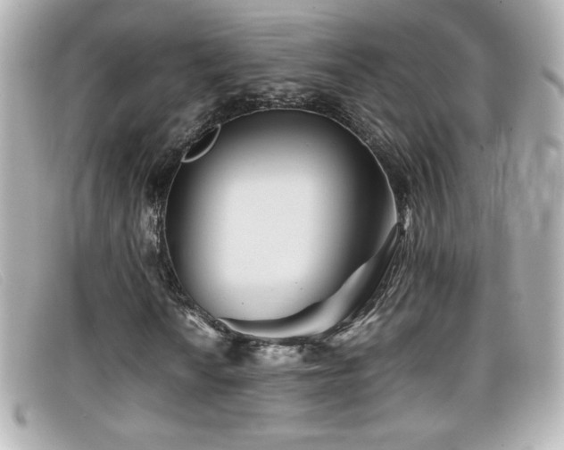 X0000099471010200805091542