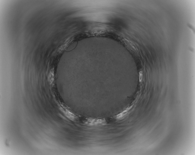 X0000099471011200805091542