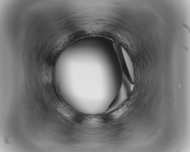 X0000099471012200805091542