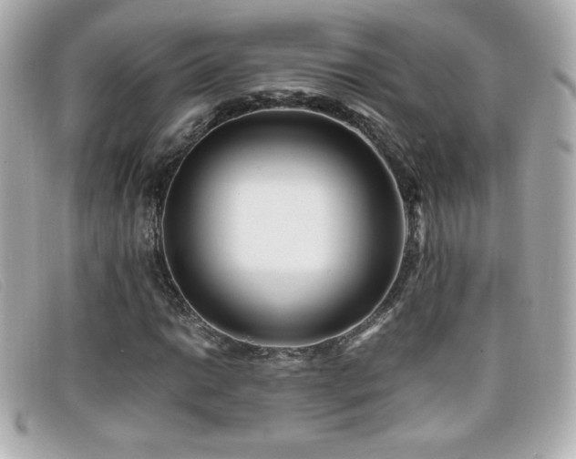 X0000099471014200805091542