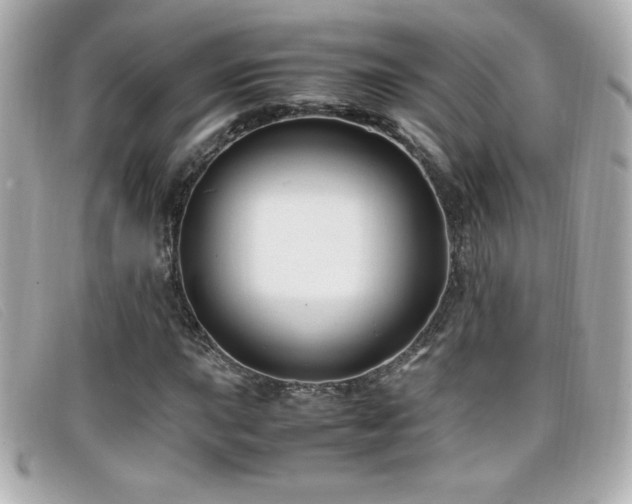 X0000099471015200805091542