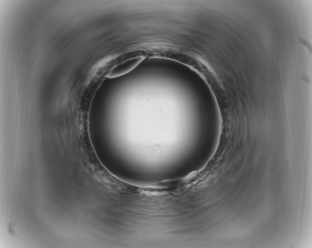 X0000099471016200805091542