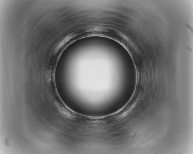 X0000099471017200805091542