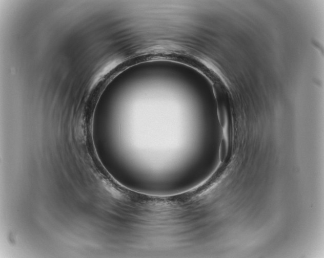 X0000099471018200805091543