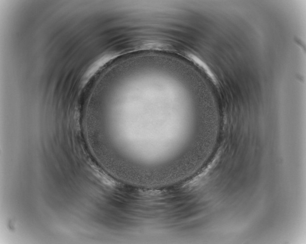 X0000099471019200805091543