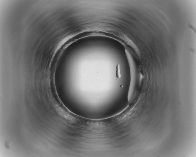 X0000099471020200805091543
