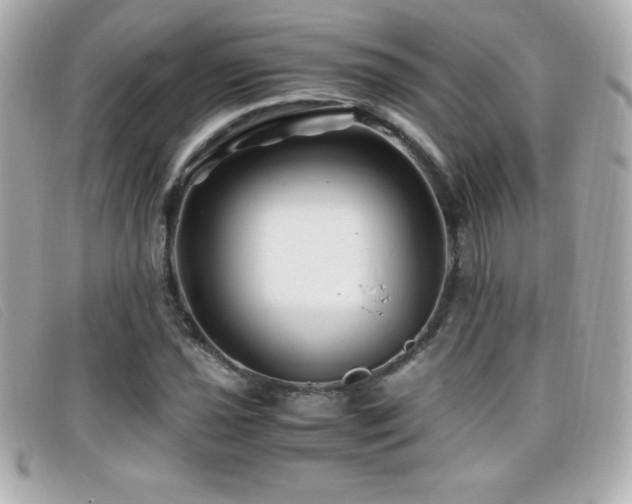 X0000099471021200805091543
