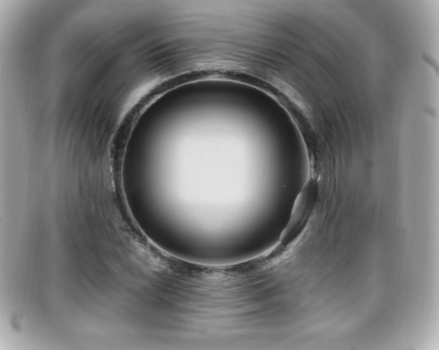 X0000099471022200805091543