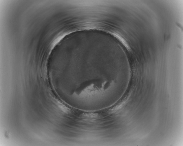 X0000099471023200805091543