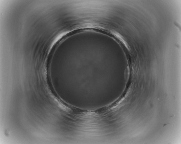 X0000099471024200805091543