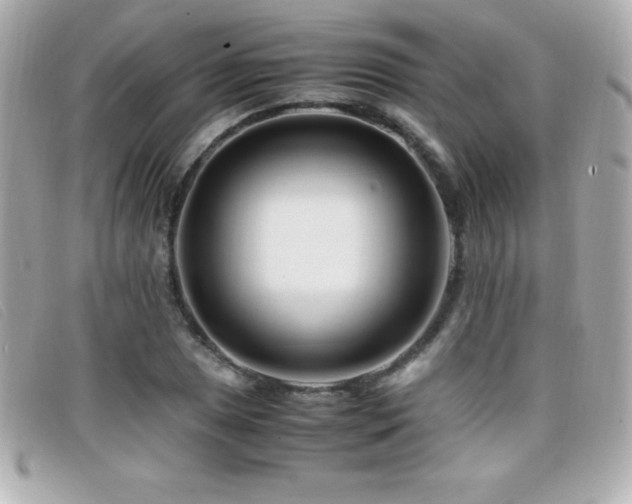 X0000099471025200805091543