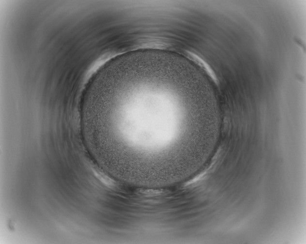 X0000099471027200805091543