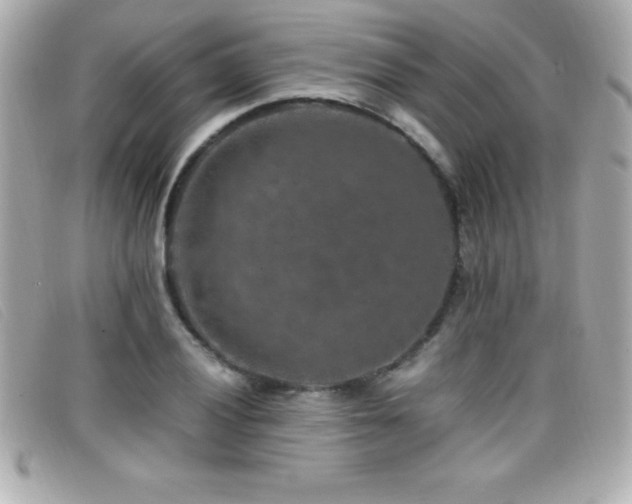 X0000099471028200805091543
