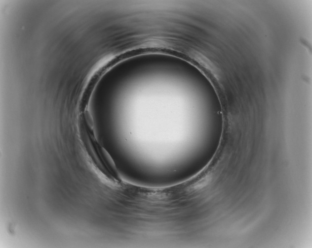 X0000099471029200805091543