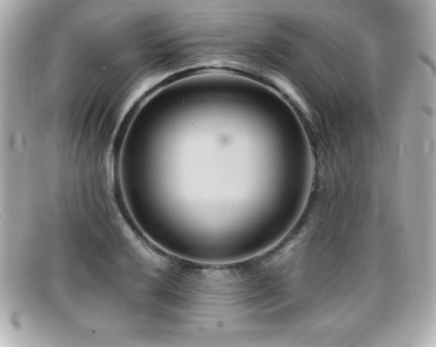 X0000099471032200805091543