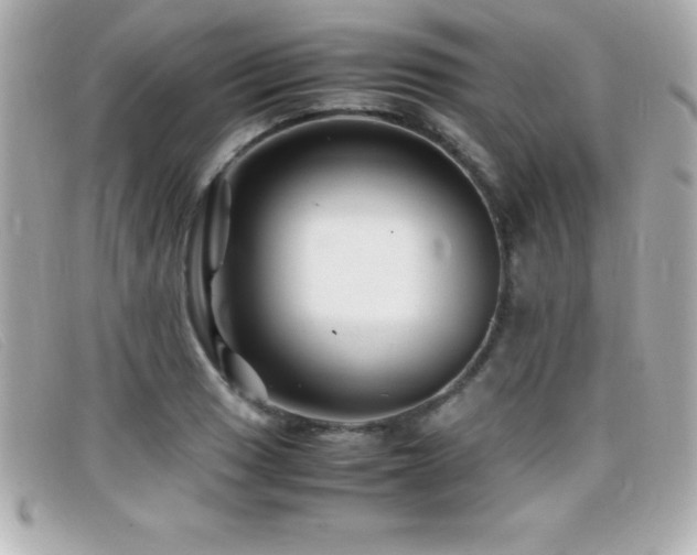 X0000099471033200805091543